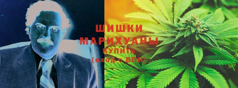 Шишки марихуана OG Kush  omg ссылка  Новомосковск 